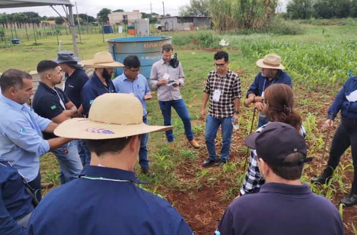 Módulos incluem pecuária, horticultura e grandes culturas como soja e milho.