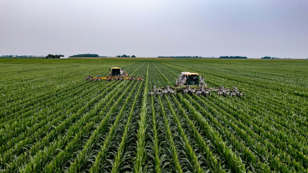 Produtividade logística é chave para superar alta do frete no escoamento de grãos
