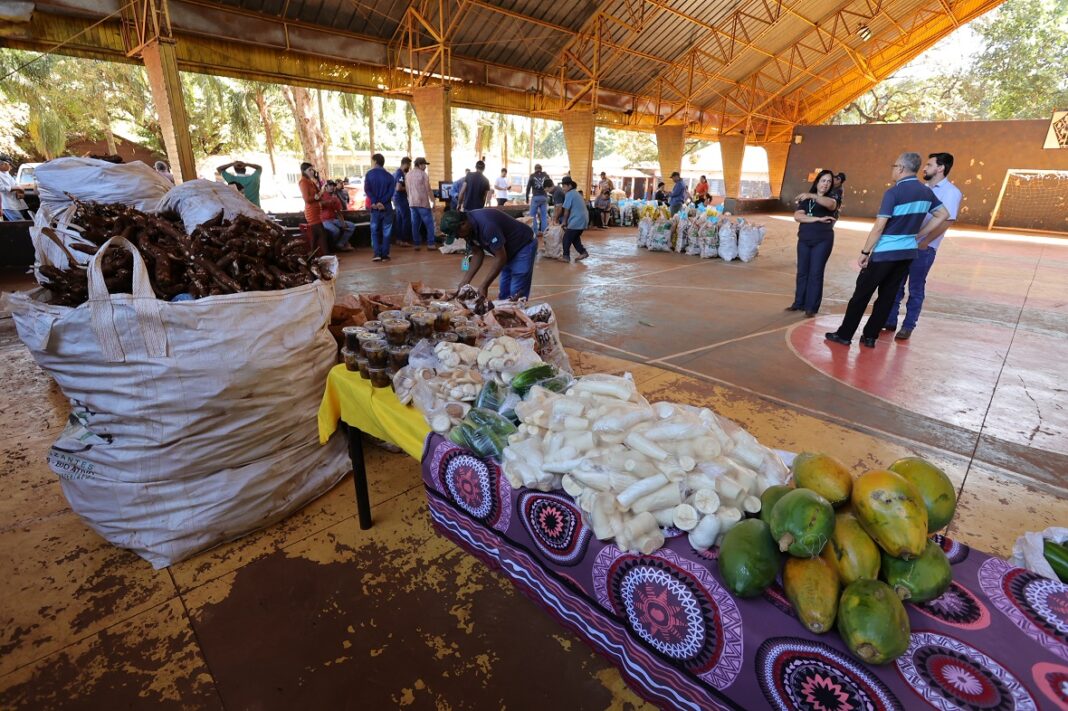 Nesta quinta-feira o programa recebeu mais de 10 toneladas de alimentos de produtores indígenas – Foto: A. Frota