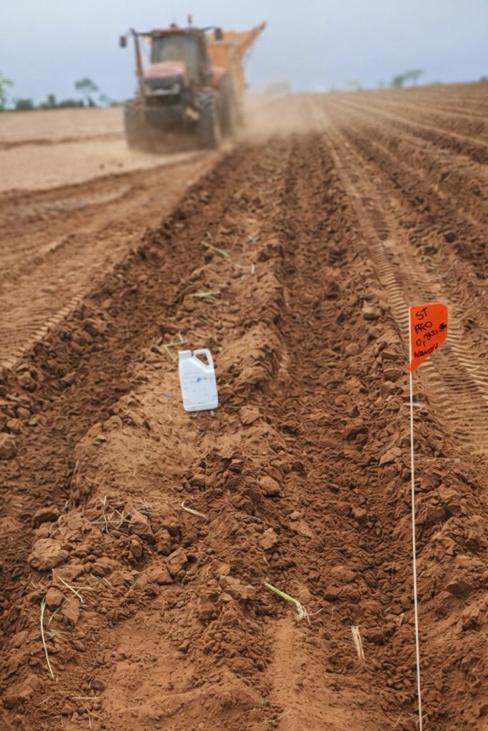 Manejo integrado com nutrição, biológicos e ativadores fisiológicos eleva produtividade da cana-planta em até 10 t/ha, apontam estudos