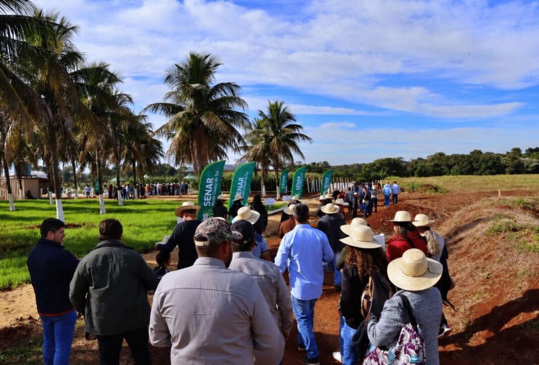 Projeto Fazendinha atrai produtores de toda a região para a Expoagro - Crédito: Clara Medeiros/ Dourados News