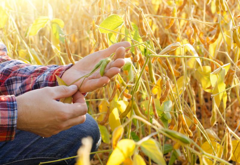 Circuito Acadêmico promove capacitação prática com máquinas e tecnologias de precisão voltadas à agricultura moderna, em Campo Grande