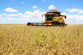 Com mais de 16,7 milhões de toneladas produzidas, Mato Grosso do Sul reforça sua posição entre os grandes produtores de soja do país.