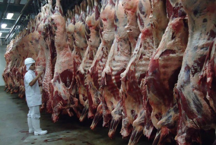 Brasil abate 10,29 milhões de bovinos no 1º trimestre e participação de fêmeas atinge 49,9%, aponta IBGE