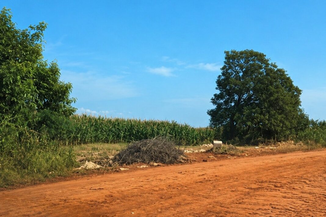 Zé Teixeira articula pavimentação em Dourados e mais saneamento em Laguna Carapã