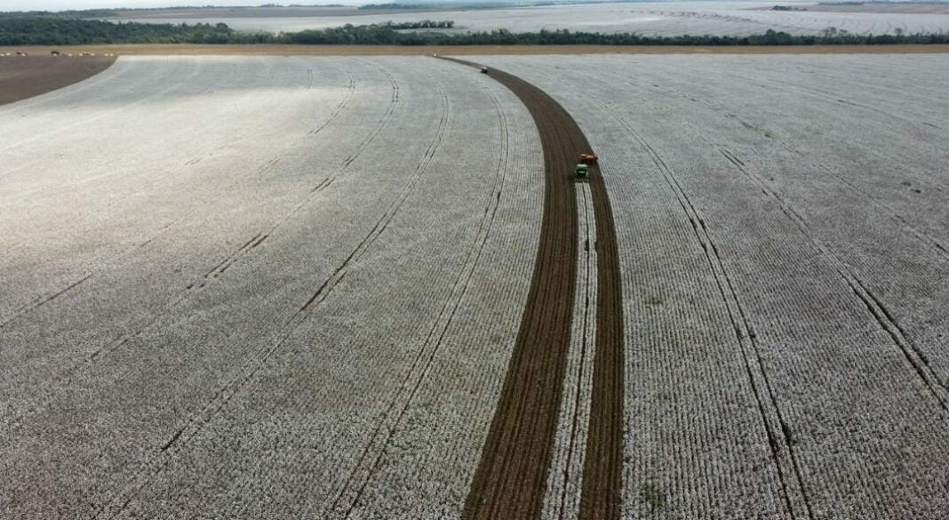 Tecnologia inovadora combinando nutrientes e biofertilizante potencializa o enchimento de grãos e amplia produtividade em diferentes culturas