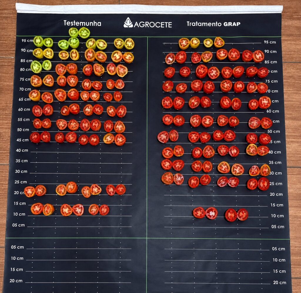 Tecnologia inovadora combinando nutrientes e biofertilizante potencializa o enchimento de grãos e amplia produtividade em diferentes culturas