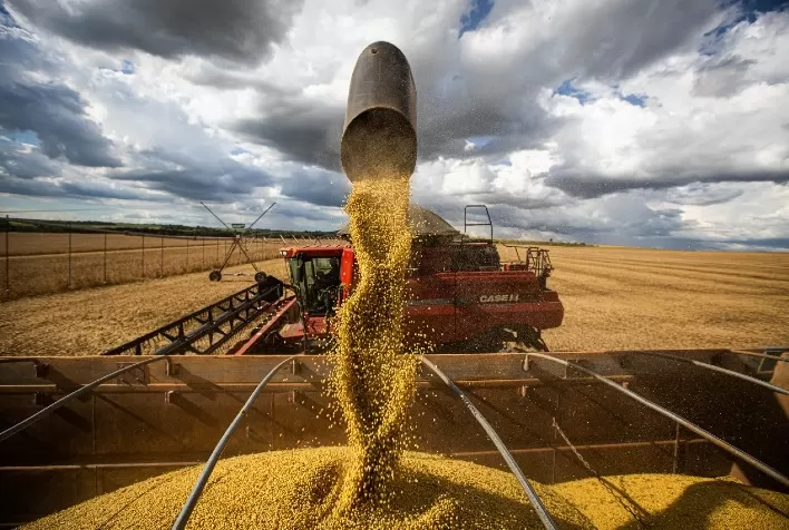Safra de soja 2026/27 pode superar 180 milhões de toneladas, mas El Niño ameaça produtividade no Brasil