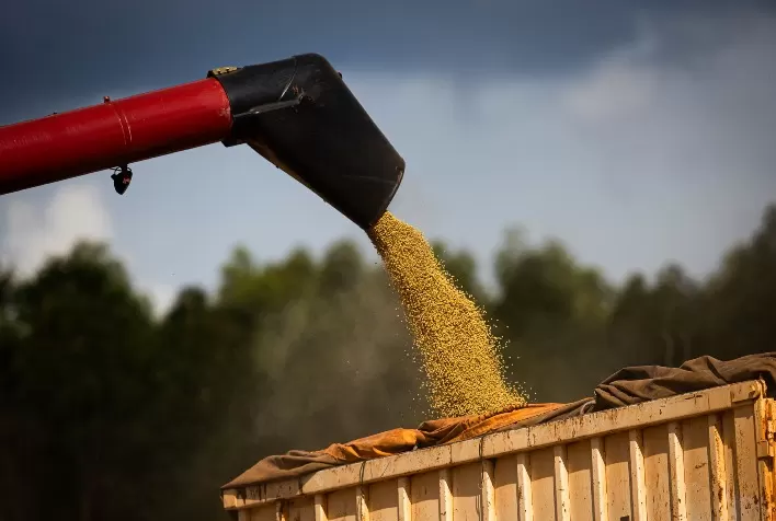 Soja dispara em Chicago, supera US$ 12 por bushel e demanda por farelo fortalece preços no Brasil e no mercado global