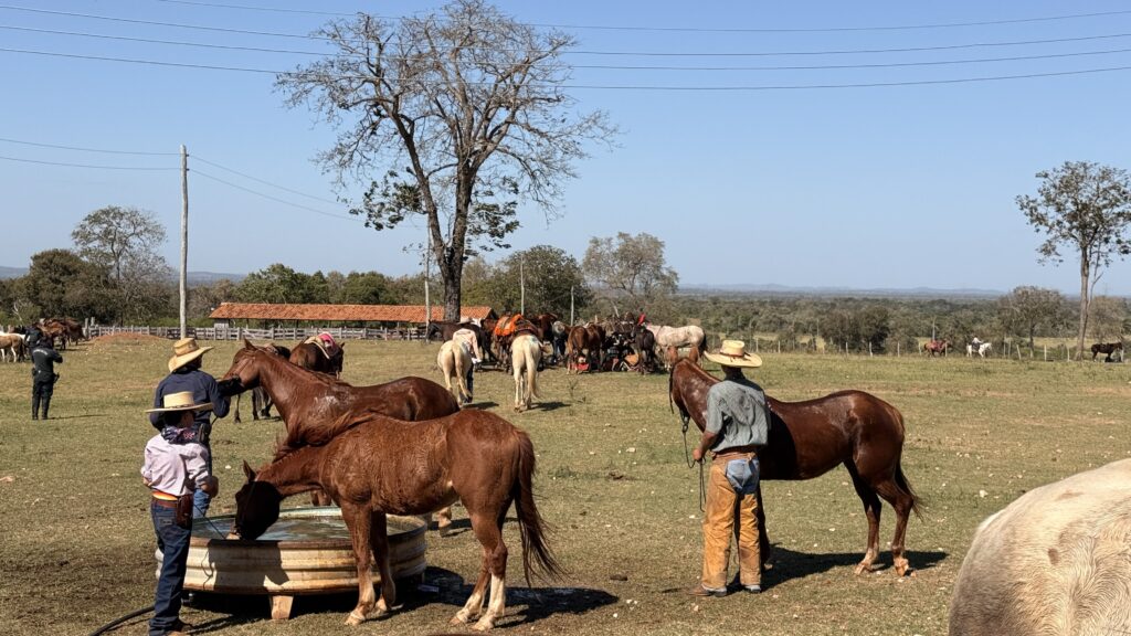 Carlos Bernardo participa da 21ª Cavalgada Ecológica de Miranda e destaca força da tradição pantaneira e do agronegócio Carlos Bernardo participa da 21ª Cavalgada Ecológica de Miranda e destaca força da tradição pantaneira e do agronegócio