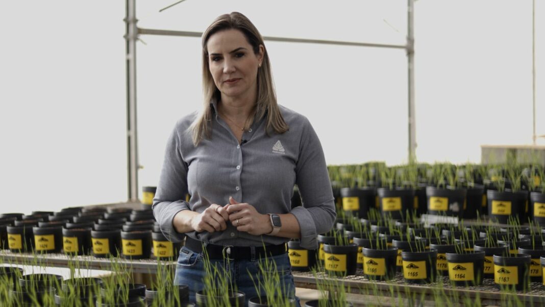 Andrea de Figueiredo Giroldo, diretora de Marketing e Desenvolvimento Técnico da Agrocete