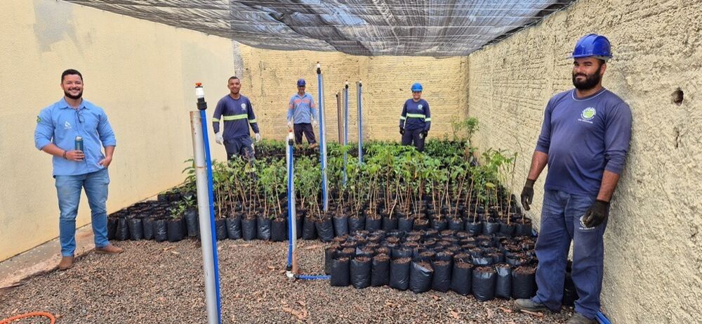 Trabalho voluntário dos empregados que cultivam as mudas. (Foto: Acom/Sanesul)