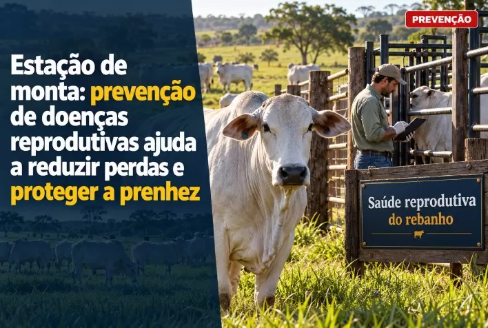 Estação de monta: prevenção de doenças reprodutivas ajuda a reduzir perdas e proteger a prenhez