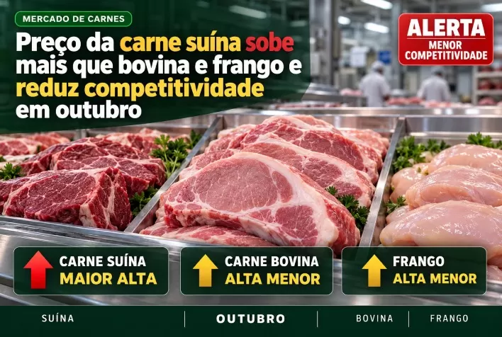 Preço da carne suína sobe mais que bovina e frango e reduz competitividade em outubro