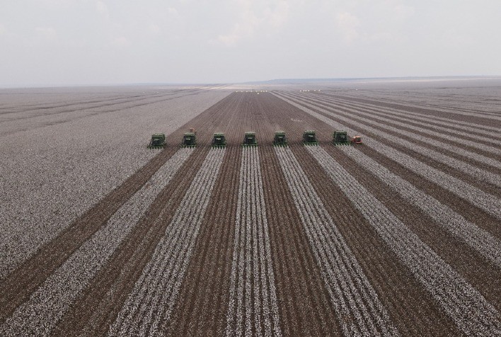 Crédito para custeio da safra cai 30,3% em Mato Grosso do Sul