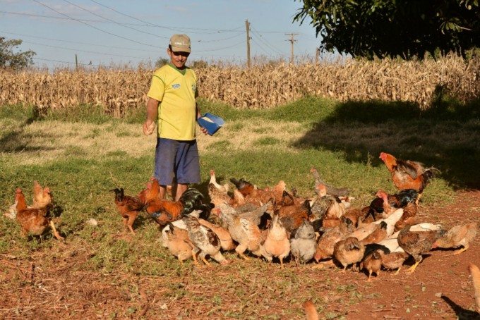 Dourados sedia encontro da agricultura familiar em dezembro Dourados sedia encontro da agricultura familiar em dezembro