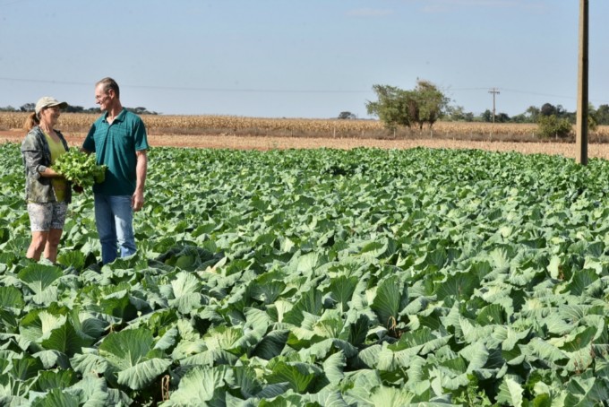 Prefeitura faz ações para produtores e empresários na 50ª Expoagro Prefeitura faz ações para produtores e empresários na 50ª Expoagro