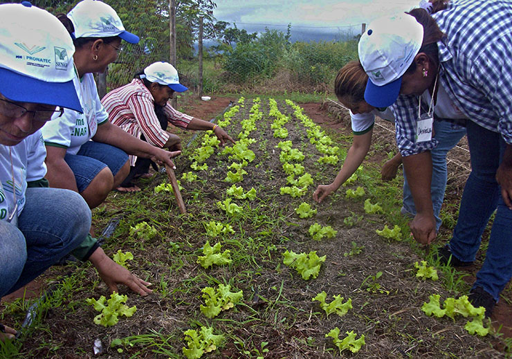Produtores de assentamentos rurais em Terenos recebem certificação do Senar/MS na sexta-feira