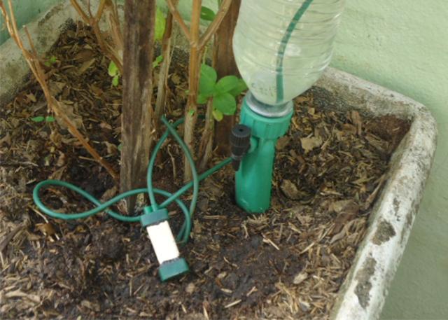Novos sensores evitam desperdício de água na agricultura e jardinagem