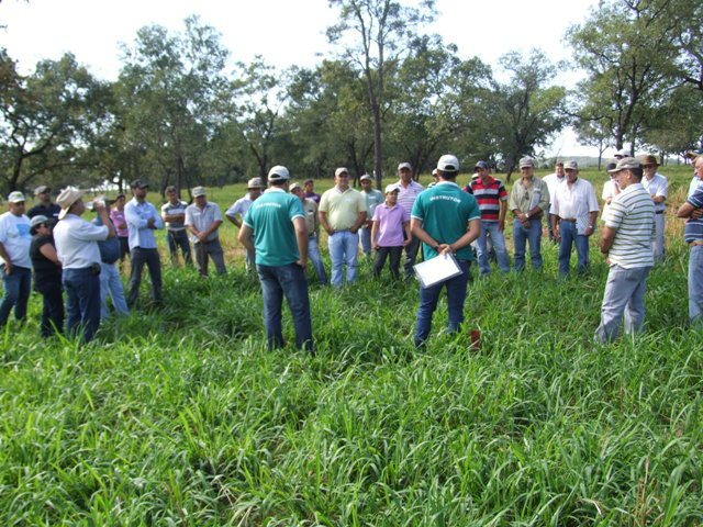 MS terá programa de agricultura de baixo carbono Foto: Famasul