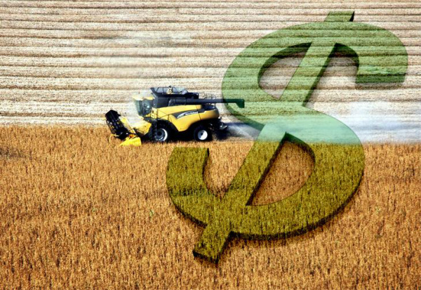 Trabalhos agrícolas, pecuária, extração e exploração vegetal e animal são consideradas atividades rurais.Foto: Divulgação / clicRBS