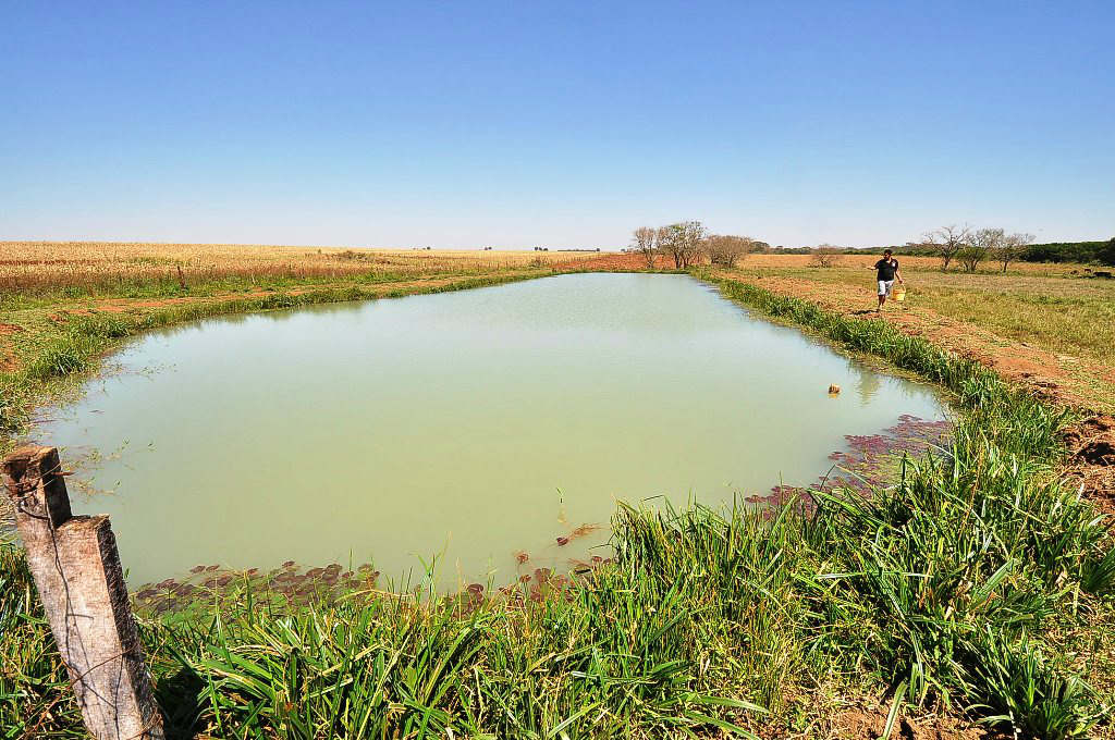 MPA atenderá piscicultores no Encontro da Agricultura de Dourados Produtores da agricultura familiar poderão fazer o cadastro no Ministério da Pesca e Aquicultura durante feira que acontece nos dias 5 e 6 de dezembro Crédito: A. Frota