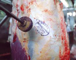 Exportações de carne registram aumento em Mato Grosso do Sul Exportações de carneelevam a economia da região. Foto: Divulgação