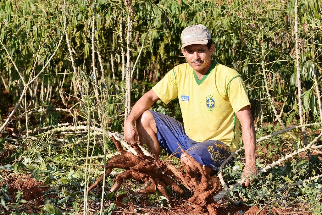 Feira da Agricultura Familiar acontece nos dias 5 e 6 de dezembro em DouradosCrédito: A. Frota