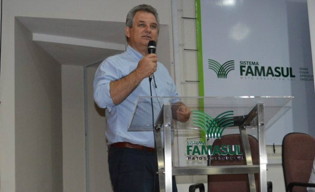 Projeto de Lei prevê viabilidade econômica na avicultura Foto: Divulgação