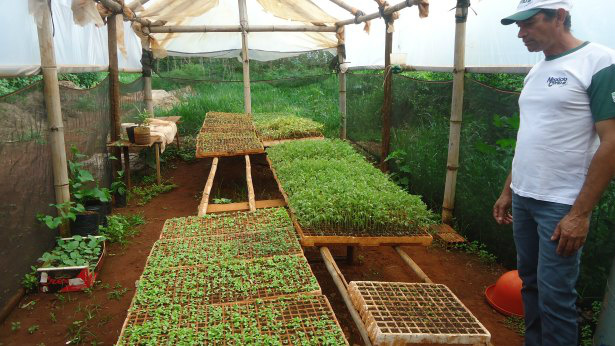 Negócio Certo Rural colabora para mudança na gestão de propriedades de MS Produtor feliz com sua produção. Foto: Famasul