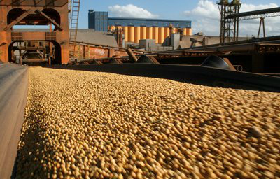 Exportação tem alta e pode ter melhor caminho nessa época do ano. Foto: Divulgação