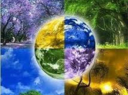 Artigo na Nature Climate Change estuda uso da terra no Brasil Foto: Divulgação