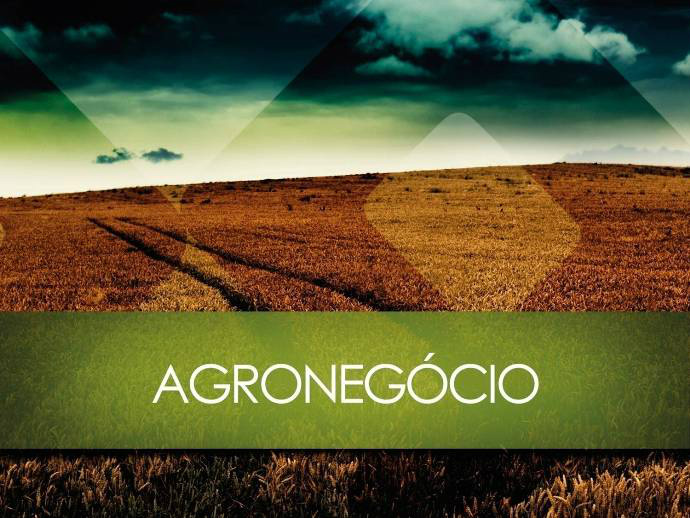 Agronegócio fonte de sustentabilidade . Foto: Divulgação 