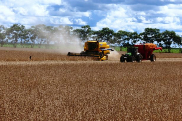 Colheita da soja atinge 29% em MS Foto: Famasul