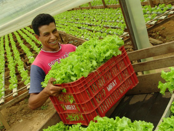 Financiamentos para agricultura sustentável aumentam 337,4% O segundo lugar no ranking ficou com o Centro Oeste, com aplicações de R$ 432,4 milhões, seguido pelo Sul, R$ 421,5 milhões. Foto: Planalto br