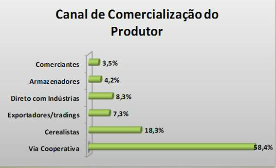 Soja: Pesquisa revela o canal mais viável de comercialização de produtores do pais