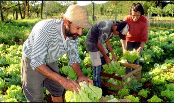 Entidades querem fim do ICMS da cesta básica nos estados De responsabilidade dos governadores, o ICMS responde por 45% dos tributos que incidem sobre os alimentos, de acordo com a Federação das Indústrias. foto: div