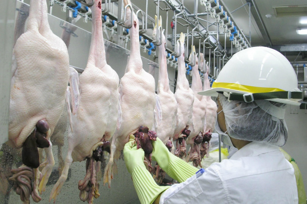EUA concluem análise de equivalência na inspeção brasileira Relatório final deve ser enviado ao governo brasileiro dentro de 60 dias. Foto: foodsafetybrazil