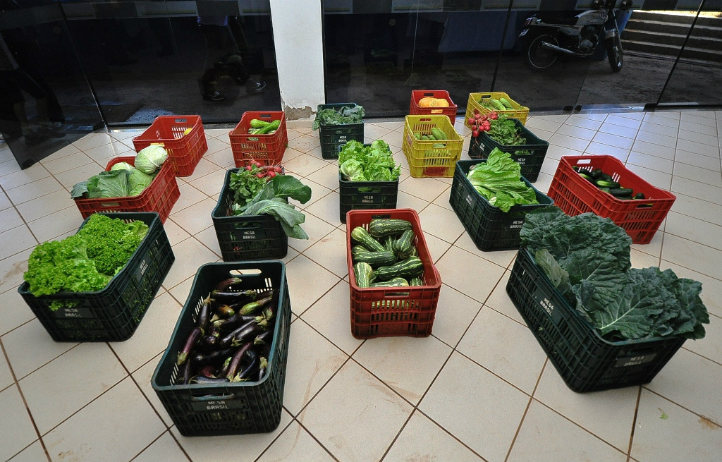 Com apoio da prefeitura, programa de alimentos já movimenta R$ 2 milhões Parte da produção da agricultura familiar é comprada pelo governo e destinada ao combate à fome. Foto: A. Frota