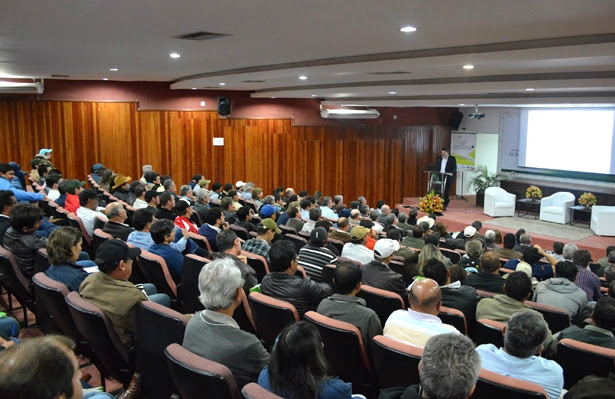 Brasil é o 2º maior consumidor de carne de frango e desafio é ampliar exportações Foto: Divulgação