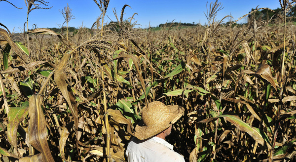 Instituto mapeia estratégias para enfrentar estiagem Agricultores, ferreiros e marceneiros do Semiárido que tenham desenvolvido estratégias inovadoras podem se cadastrar no Insa. Foto: Agência RBS