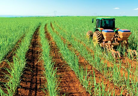 Plantação de cana equilibra carbono e mantém fertilização do solo, afirma estudo Foto: Divulgação