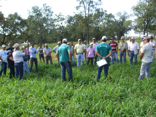 Produtores de MS terão consultoria em todos os setores da agropecuária Foto: famasul