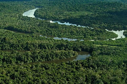 Combinação de benefícios pode ajudar agricultor a recuperar cobertura florestal Foto: Divulgação