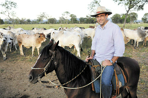Pecuarista de Corte obtém margens positivas de lucro em 2014 Foto: Divulgação