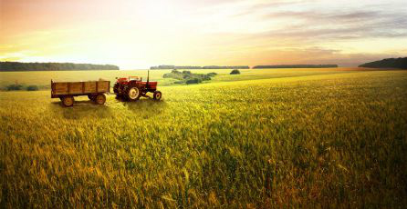 Cresce o número de produtores que aderem ao seguro agrícola Foto: Divulgação