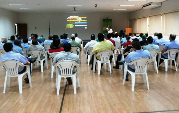 Fundação MS continua com apresentações de resultados da safrinha Foto: Divulgação
