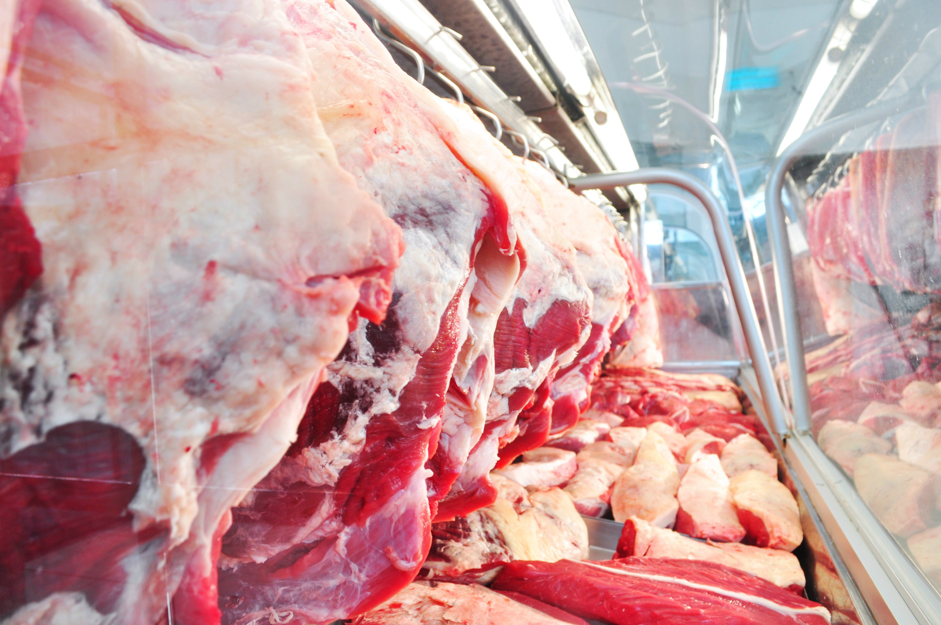 Carne bovina: Brasil bate recorde de exportações e projeta novos mercados em 2015 Foto: Divulgação