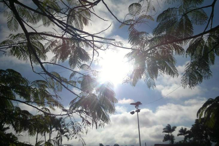 Terça de tempo firme no Centro-Oeste e chuva em grande parte do país Foto: Divulgação
