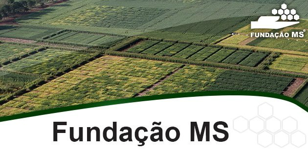 Fundação MS fala sobre reforma de pastagens em integração na Dinapec 2015 Foto: Divulgação